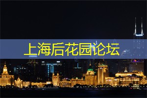 寻找属于自己的平静与力量呢
