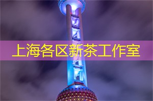 大揭秘！上海最时尚街区盛世井天巷，成为全球年轻人打卡新地标！